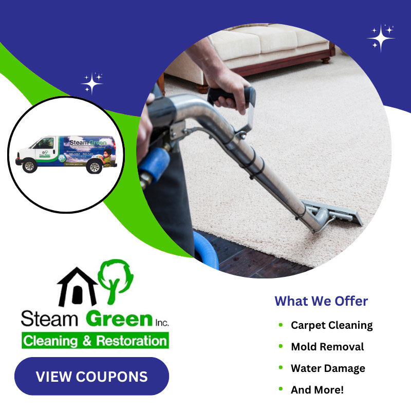 Home Steam Green Carpet Cleaning And Restoration