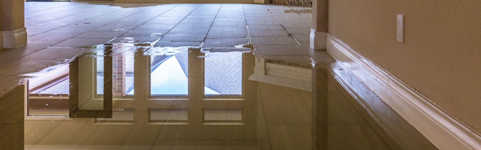 Home Steam Green Carpet Cleaning And Restoration